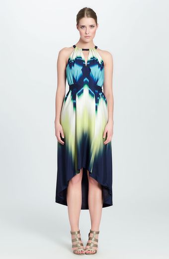 Cynthia Steffe Katrine Print Halter Dress - Lyst