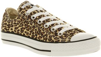 Converse All Star Ox Low Leopard Canvas Exclusive - Lyst