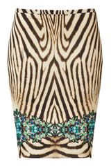 Roberto Cavalli Zebra Printed Cristallo Di Rocca Skirt
