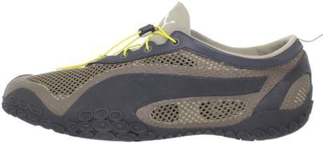 fossil puma