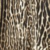 Giambattista Valli Animalprint Wool and Silkblend Pants in Animal - Lyst