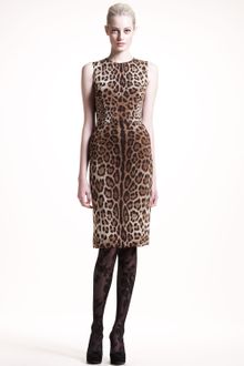 Dolce & Gabbana Classic Leopardprint Dress - Lyst