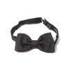 Dolce & Gabbana Paisley Bowtie in Black for Men - Lyst