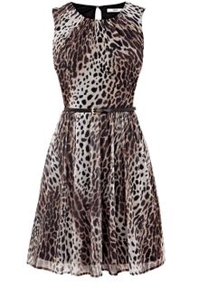 Oasis Leopard Print Skater Dress - Lyst