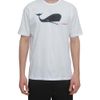 Jil Sander Whale Print Cotton Tshirt in White for Men - Lyst