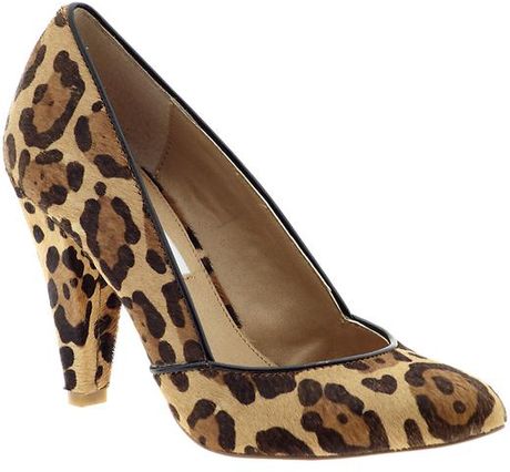 Steve Madden Poized in Animal (leopard) | Lyst