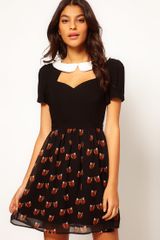 Sugarhill Foxy Contrast Collar Skater Dress