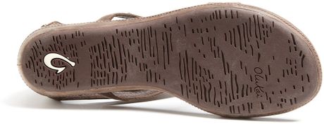 Olukai Olukai Kalai Sandal in Brown (java java) | Lyst