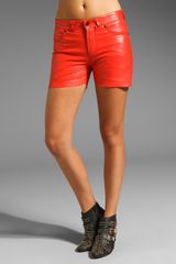 Winter Kate Leather Shorts