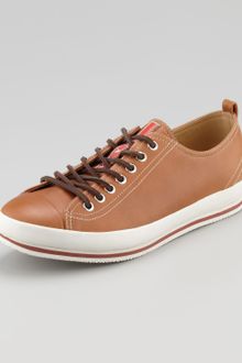 Prada Captoe Leather Sneaker Brown - Lyst
