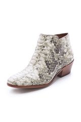 Sam Edelman Petty Roccia Booties