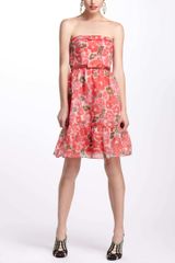 Anthropologie Watercolor Poppies Dress