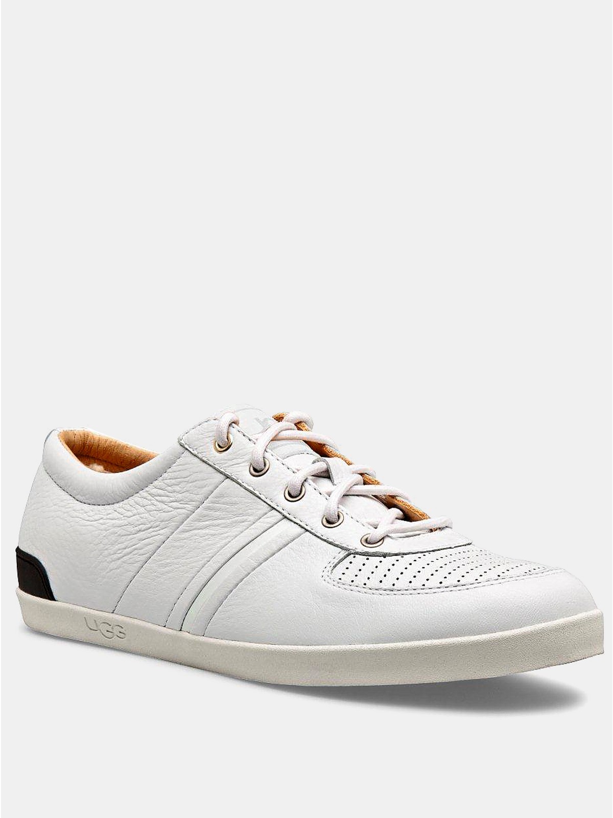 ugg leather elastic sneakers