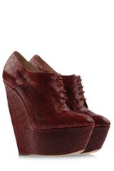 Casadei Brogues