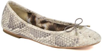 Sam Edelman Felicia Snake in Blackwhite - Lyst