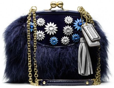 Coach Poppy Jewel Frame Bag in Blue (brassblue) Coach Poppy Jewel Frame Bag in Blue (brassblue)