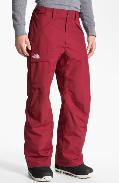 the north face snow pants