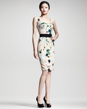 Dolce & Gabbana Floralprint Panel Dress - Lyst