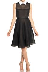 Valentino Silk Shirt Collar Dress