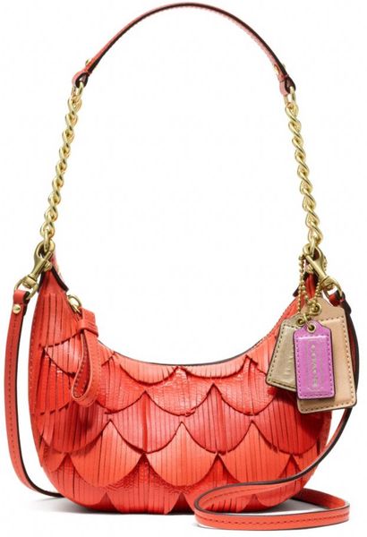 coach wallets mang