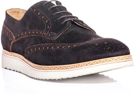 blue brown brogues