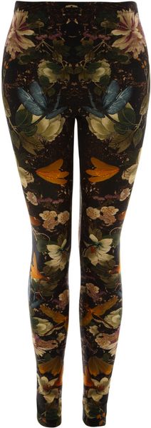 Alexander McQueen Black Floral Dragonfly Print Leggings - Lyst