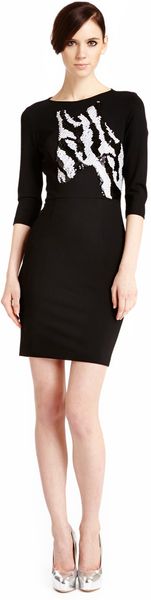 Erin Fetherston Zebre Dress - Lyst