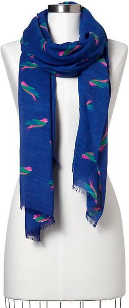 gap blue scarf