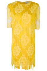 Stella McCartney Fringed Dress