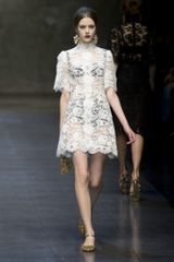 Dolce & Gabbana Fall 2013 Runway Look 52