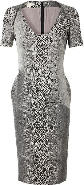Antonio Berardi Leopard Patterned Cottonblend Dress - Lyst