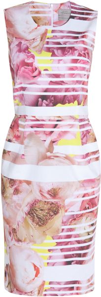 Preen Peony Stripe Cotton Dress - Lyst