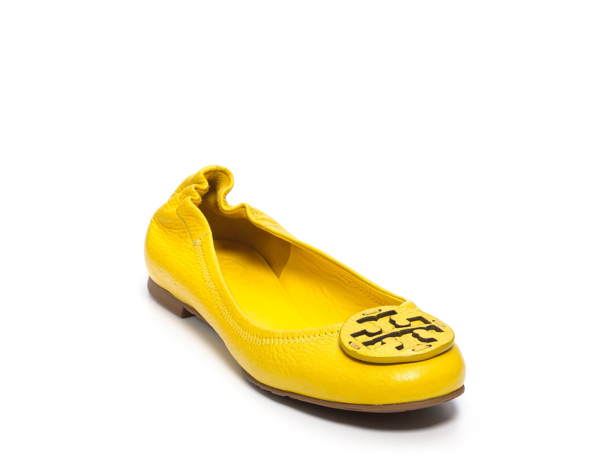 dandelion flats