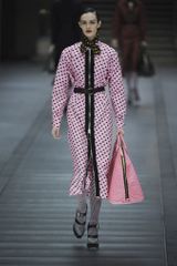Miu Miu Fall 2013 Runway Look 21