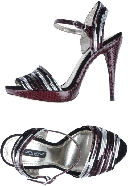 dolce and gabbana purple shoes
