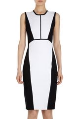 Narciso Rodriguez Bicolor Dress