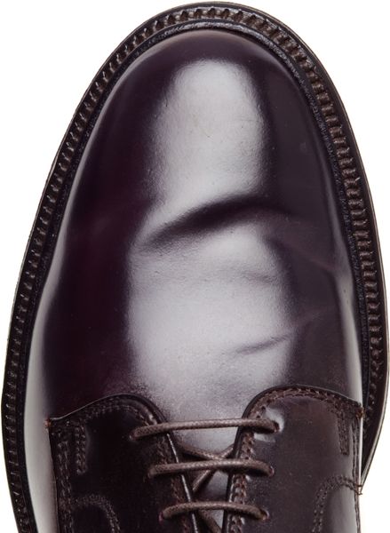 cordovan derby