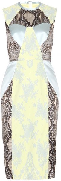 Erdem Brynn Snakeskin Print Dress with Lace - Lyst