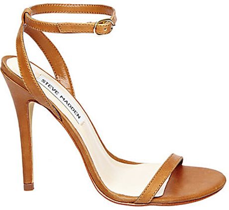 steve madden roceen