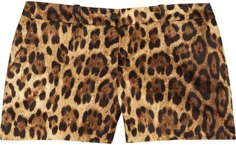 Michael Kors Leopardprint Cottonsatin Shorts - Lyst