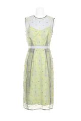 Erdem Dress