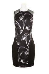 Jason Wu Dress