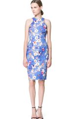 Zara Printed Dress