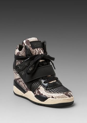 Ash Funky Sneaker in Blackoff White - Lyst