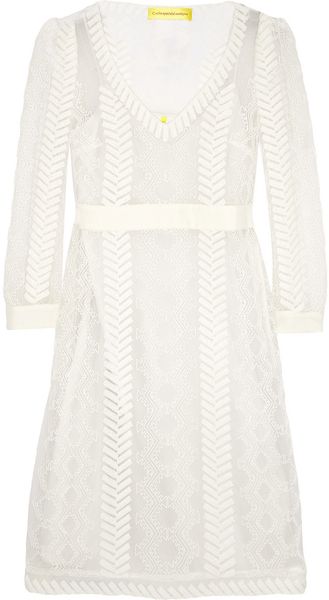 Catherine Malandrino Embroidered Tulle Dress - Lyst