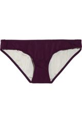 Milly Fiji Bikini Briefs
