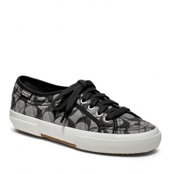 Coach Kalyn Sneaker - Lyst