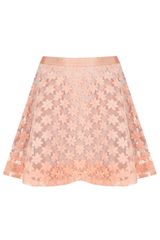 Topshop Embroidered Flower Skater Skirt