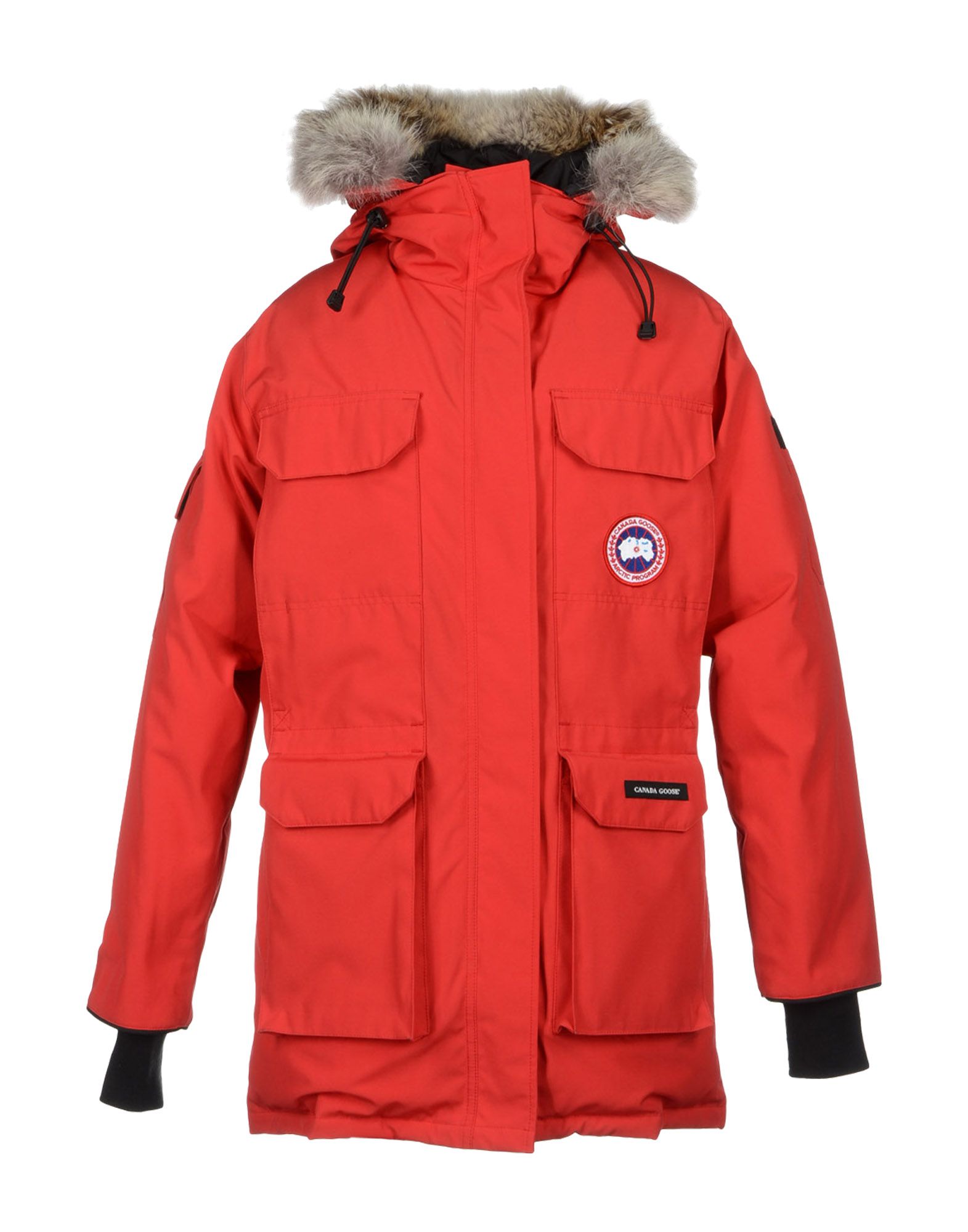 canada goose jackets in moncton canada goose jackets in moncton