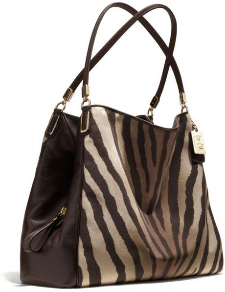 Coach Madison Small Phoebe Shoulder Bag In Zebra Print Fabric In Brown 